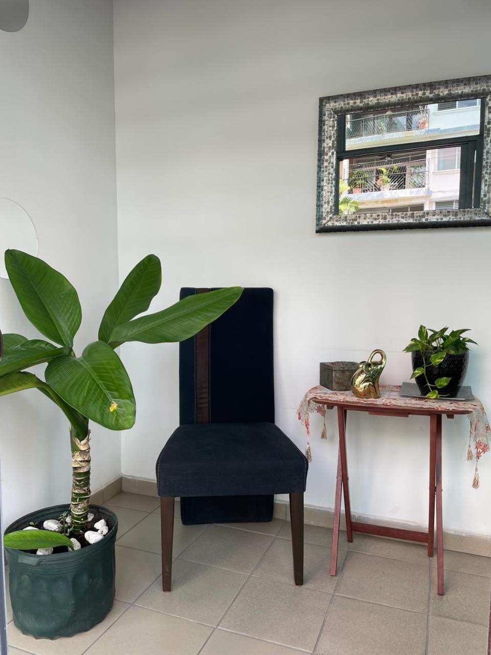 Hostal El Prado 巴拿马城 外观 照片