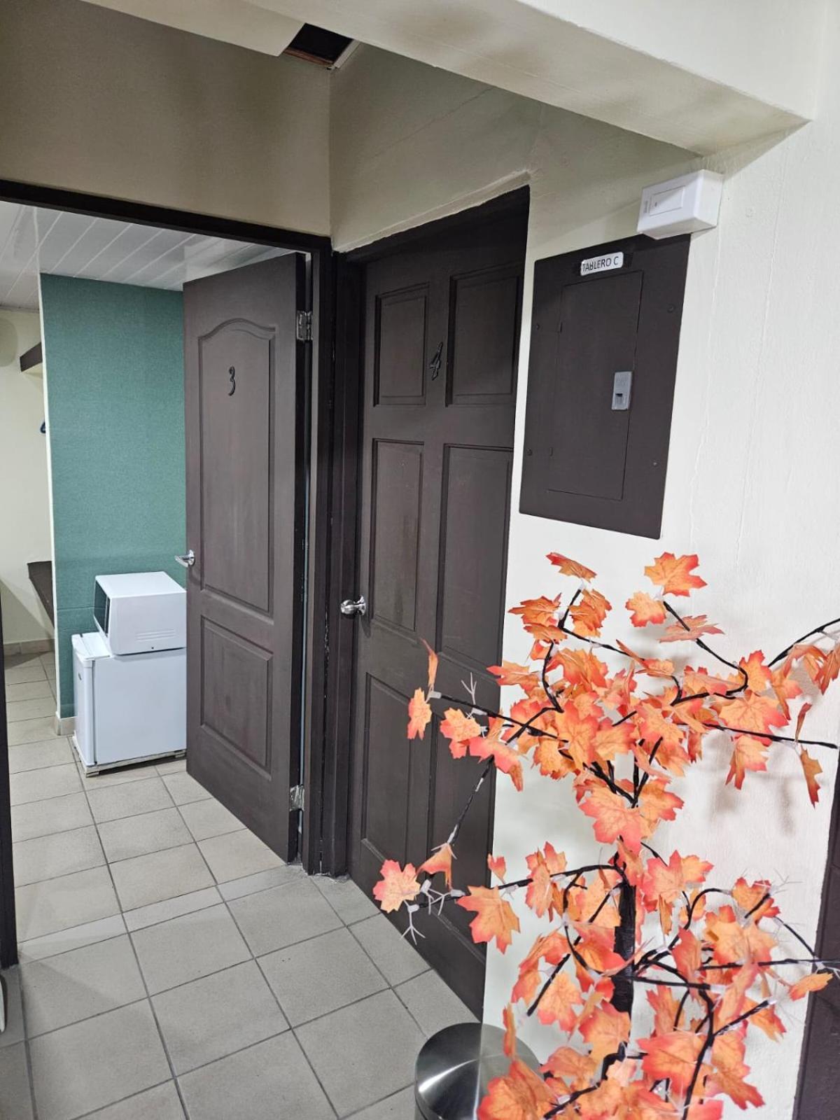 Hostal El Prado 巴拿马城 外观 照片